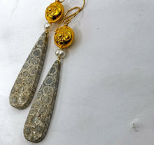 Petrified Fossil Earrings