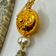 Petrified Fossil Earrings