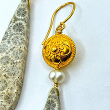 Petrified Fossil Earrings